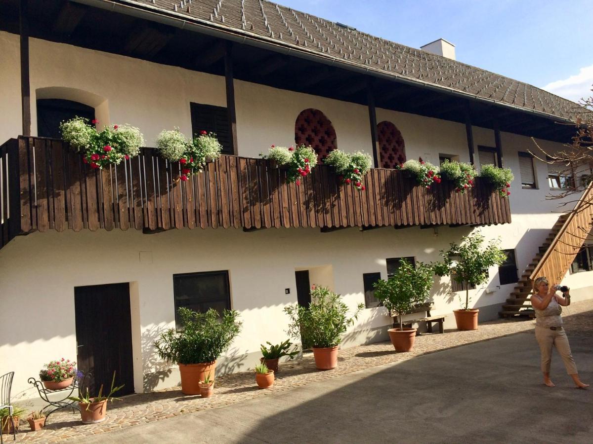 VIII Panorama-Ferienwohnung Petzenblick Sankt Michael ob Bleiburg Экстерьер фото